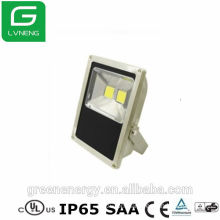 solar light parts flood light 100W floodlights CE,TUV,UL high lumen output